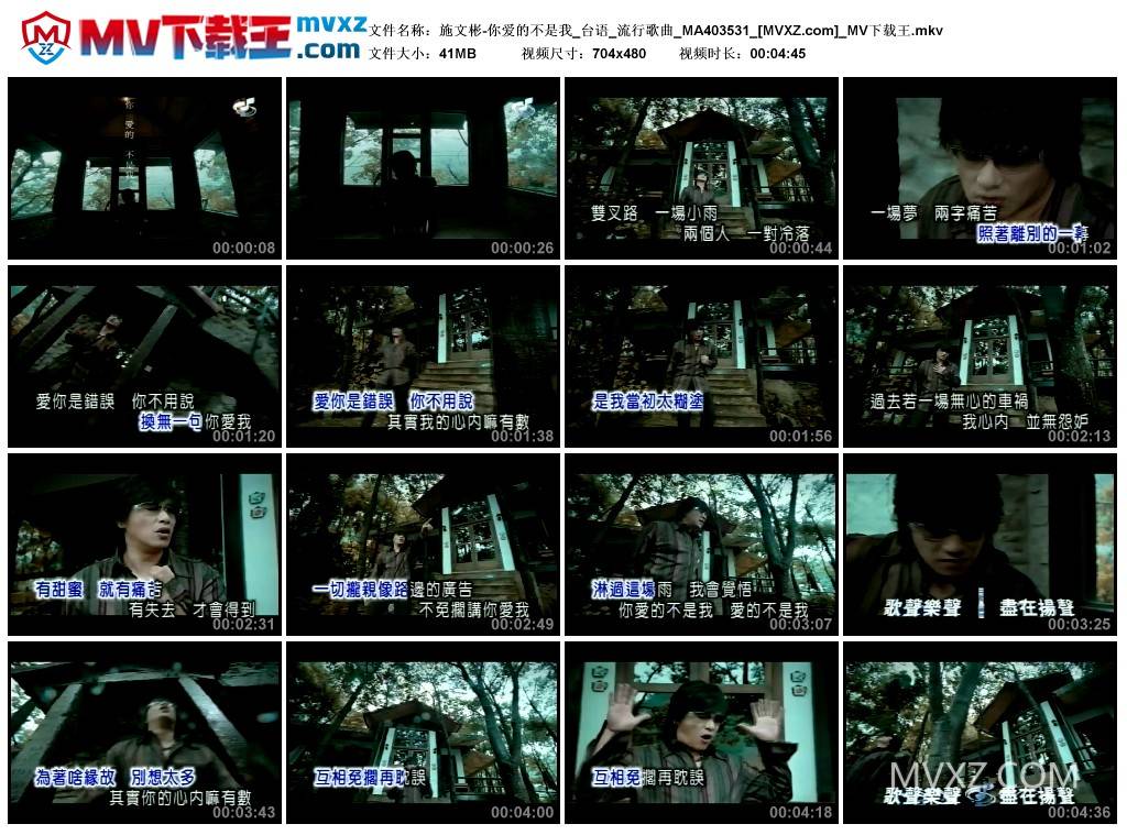 施文彬-你爱的不是我_台语_流行歌曲_MA403531